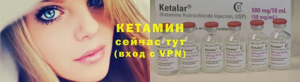прущие грибы Тайга