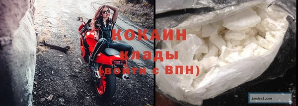спайс Тавда