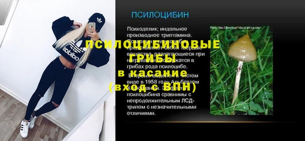 молекула духа Сясьстрой