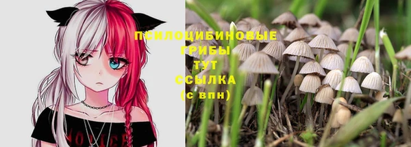 молекула духа Горнозаводск