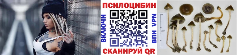 Галлюциногенные грибы прущие грибы  купить наркоту  Оханск 