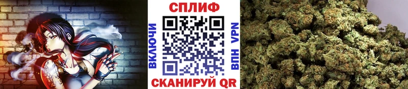 Марихуана White Widow  где найти наркотики  Оханск 